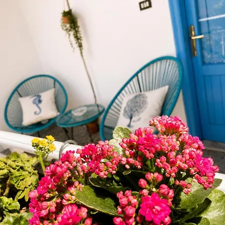 La Casa Di Chloe * Faggiano (Taranto)